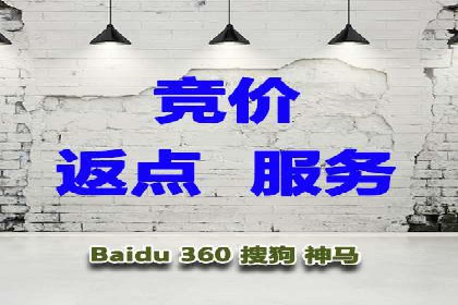 搜索引擎营销（SEM）的投放策略与效果评估——以某行业领先企业的案例分析